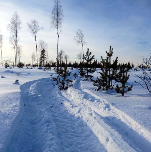 Skoterspår